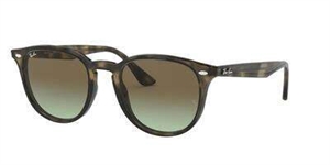 RAY-BAN 0RB4259 Solbrille (Form: Panto - Farve: Grå)